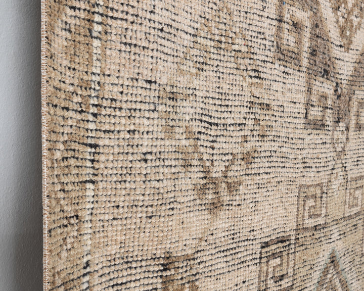 Runner Rug 3' 10" x 10' 6" | No. VR54698