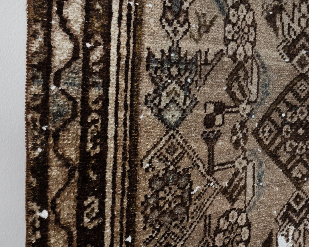 Runner Rug 2' 7" x 10' 1" | No. VR24959