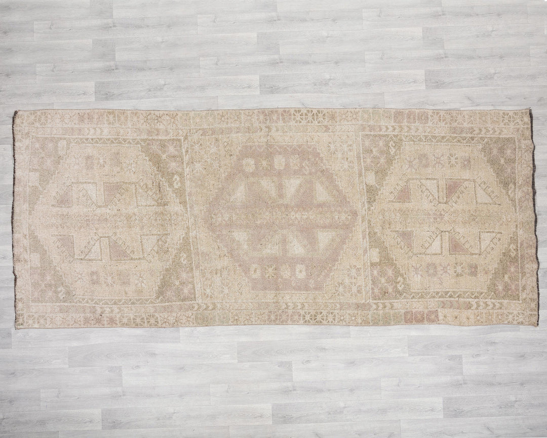 Runner Rug 4' 3" x 10' 1" | No. VR14451