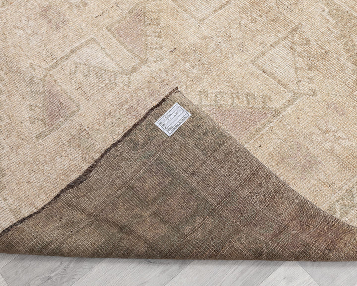 Runner Rug 4' 3" x 10' 1" | No. VR14451