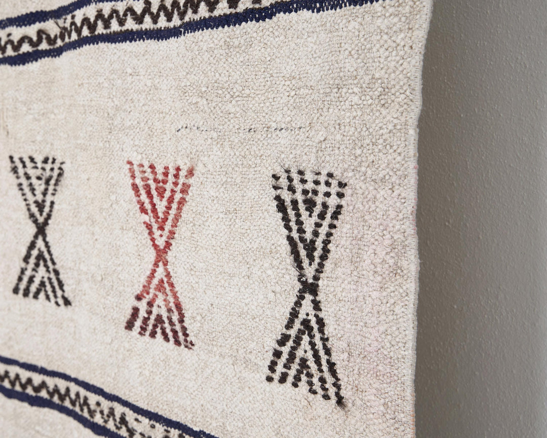 Kilim Rug 6' x 9' | No. VR98803
