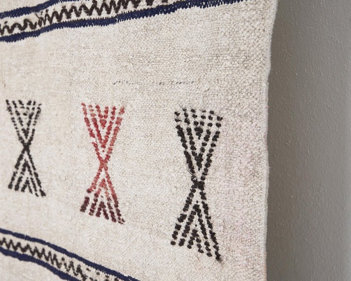 Kilim Rug 6' x 9' | No. VR98803