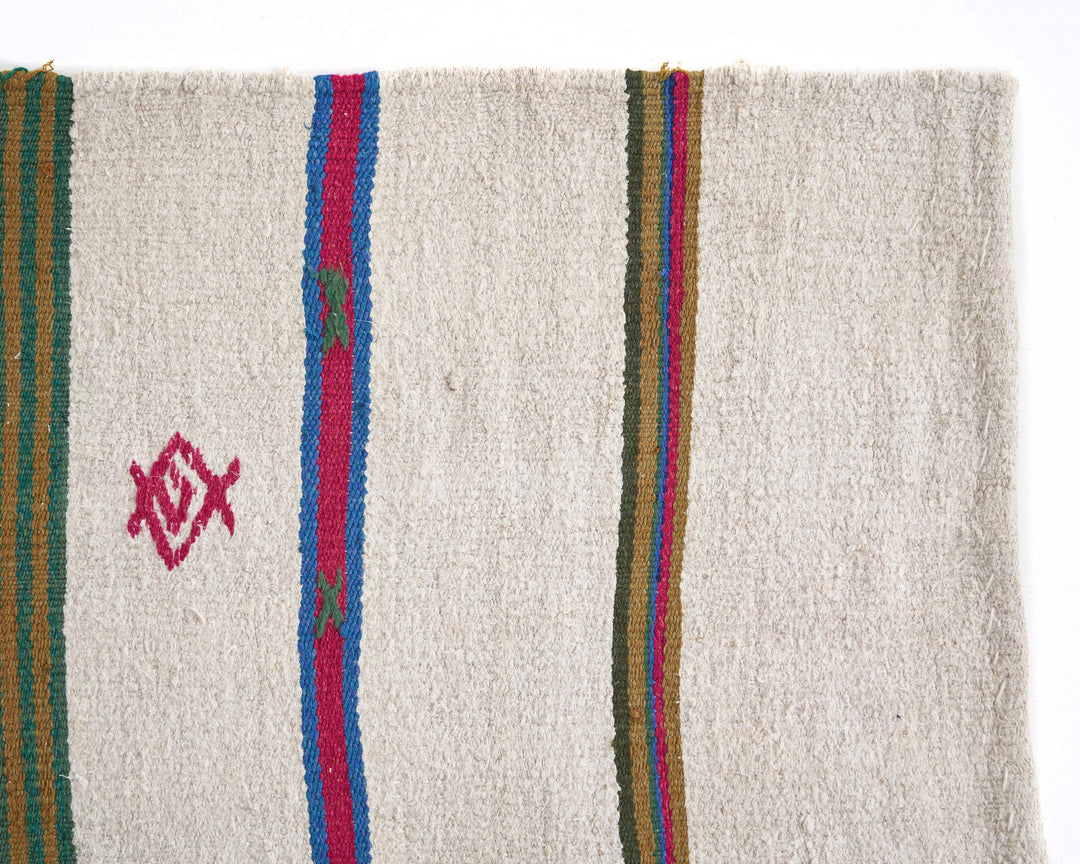 Kilim Rug 4' 9" x 10' 10" | No. VR81524