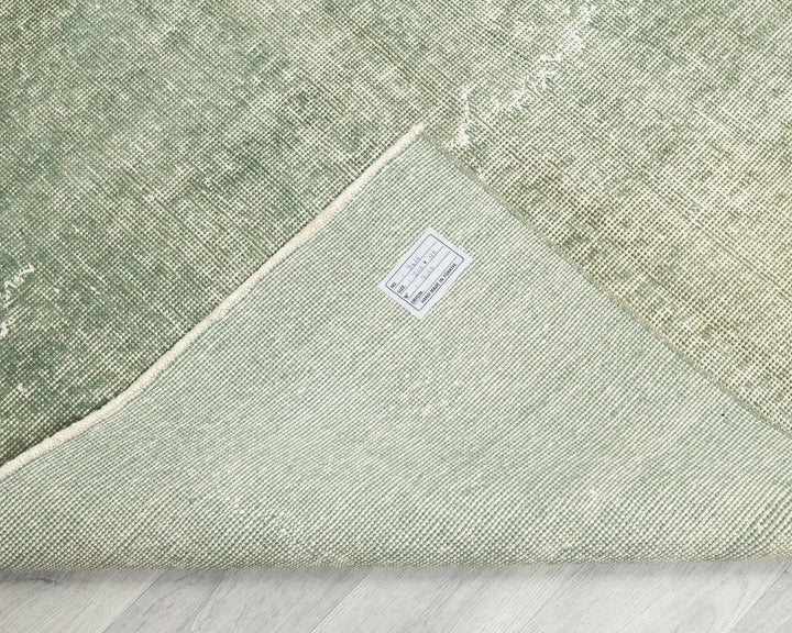 Green Oushak Rug 3' 7" x 6' 8" | No. VR73015