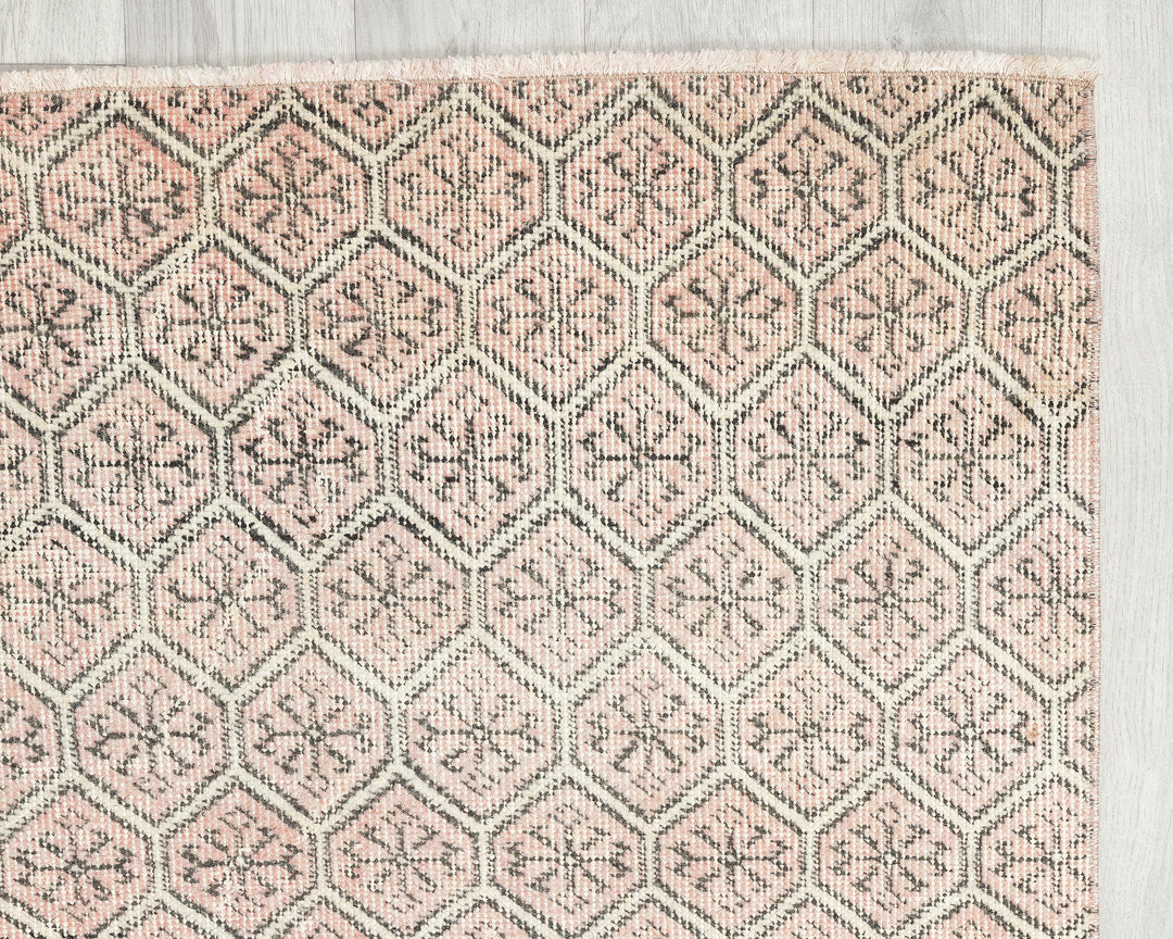 Oushak Rug 2' 10" x 6' | No. VR32581