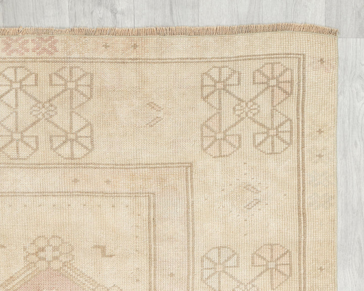 Beige Oushak Rug 3' 10" x 6' 10" | No. VR57519