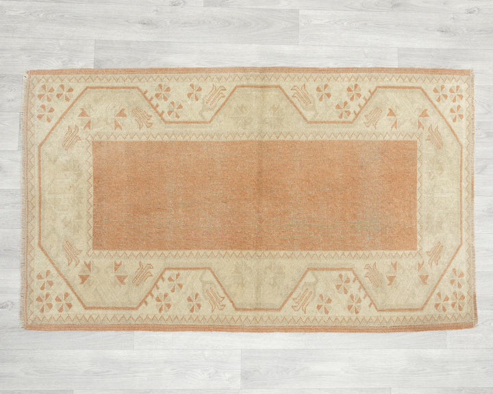Oushak Rug 2' 10" x 4' 8" | No. VR88807