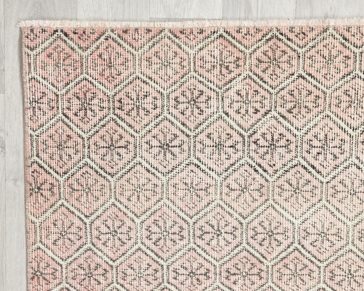 Oushak Rug 2' 10" x 6' | No. VR32581