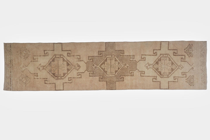 Beige Runner Rug 2' 8" x 11' 4" | No. VR59434