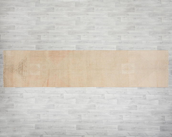 Neutral Runner Rug 3' 1" x 13' 2" | No. VR98836