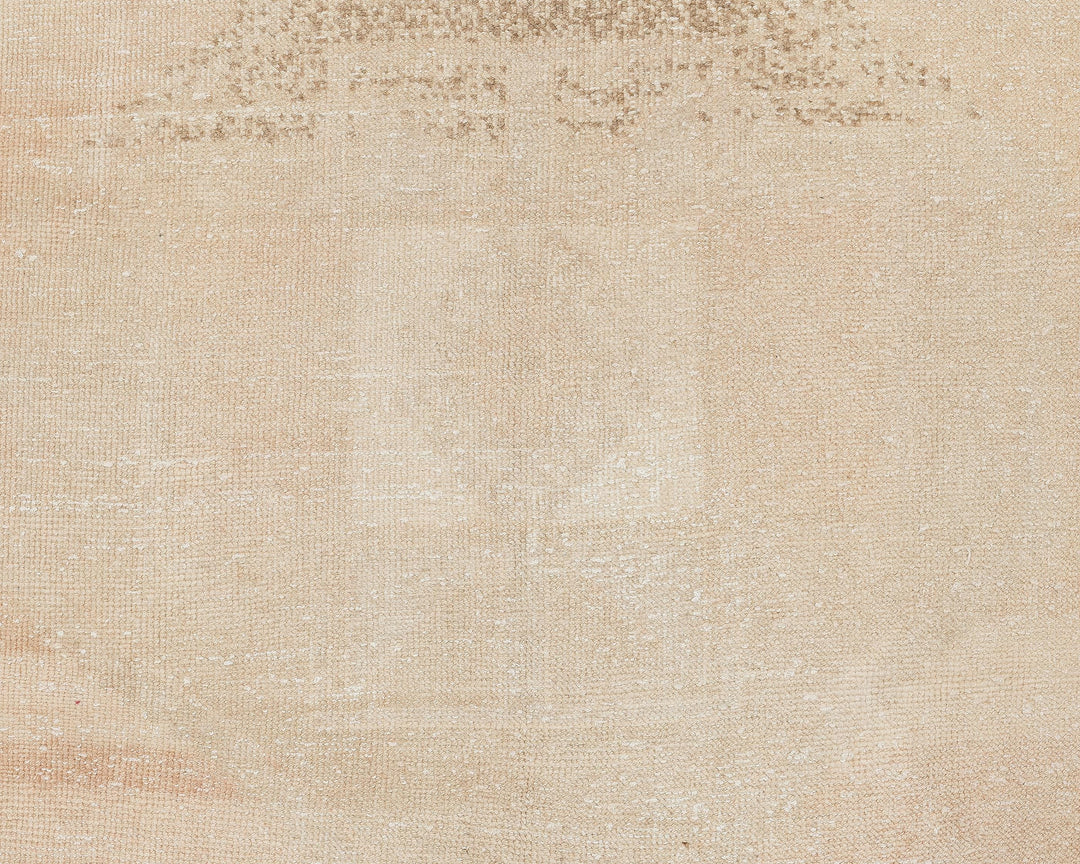 Neutral Runner Rug 3' 1" x 13' 2" | No. VR98836