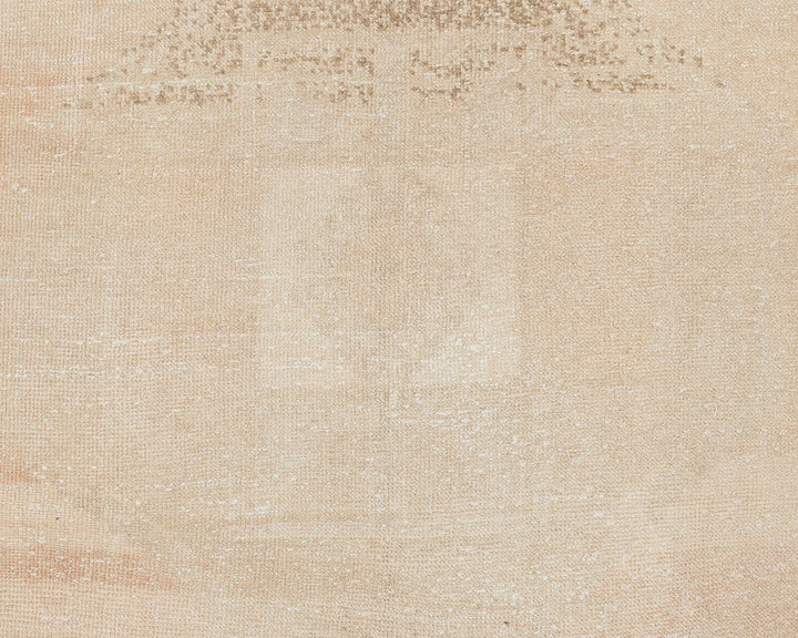 Neutral Runner Rug 3' 1" x 13' 2" | No. VR98836