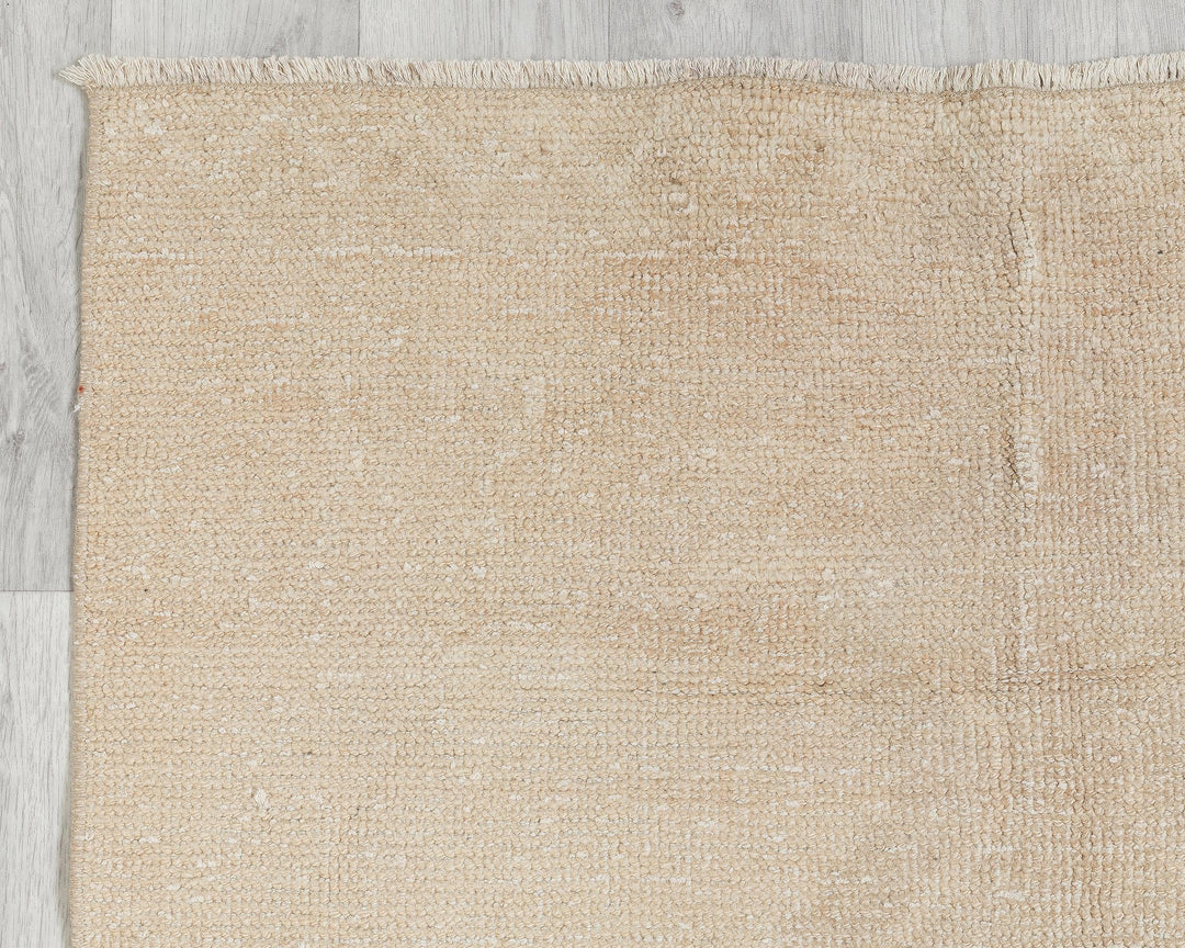 Neutral Runner Rug 3' 1" x 13' 2" | No. VR98836