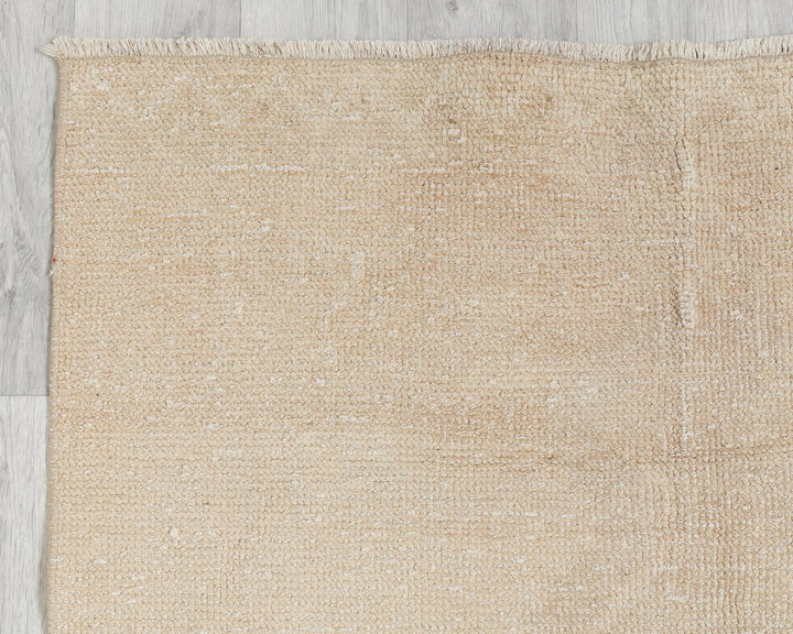 Neutral Runner Rug 3' 1" x 13' 2" | No. VR98836