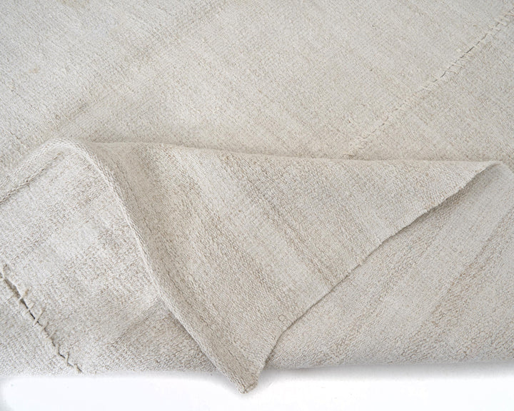 Kilim Rug 5' x 10' | No. VR57123