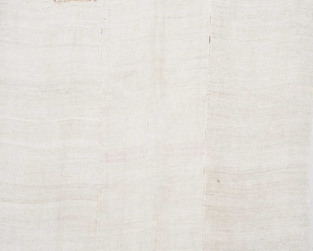 Kilim Rug 5' x 10' | No. VR57123