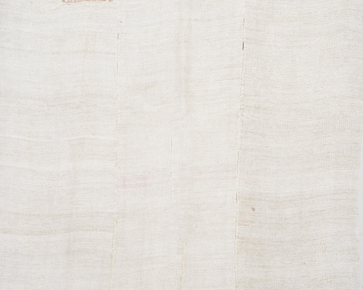 Kilim Rug 5' x 10' | No. VR57123