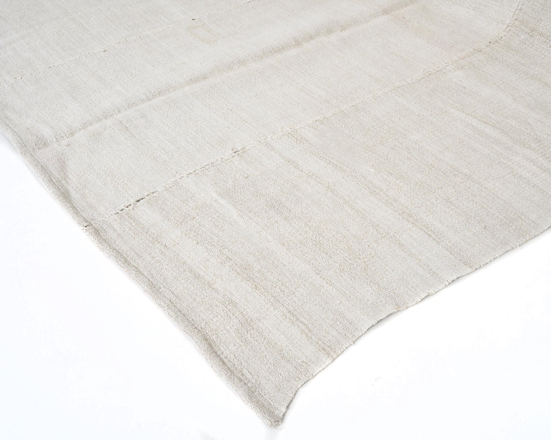 Kilim Rug 5' x 10' | No. VR57123