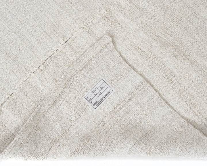 Kilim Rug 5' x 10' | No. VR57123