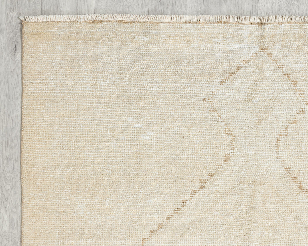 Beige Runner Rug 3' 11" x 11' 10" | No. VR10850