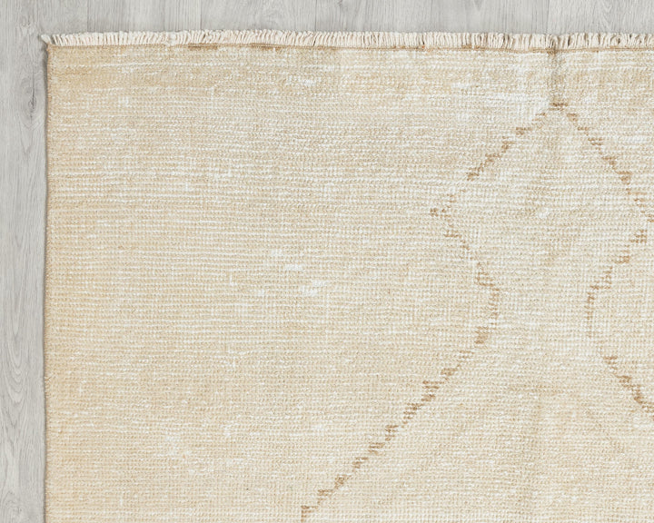 Beige Runner Rug 3' 11" x 11' 10" | No. VR10850