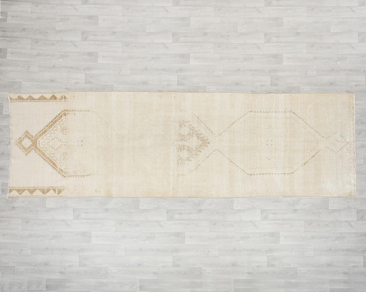 Beige Runner Rug 3' 11" x 11' 10" | No. VR10850