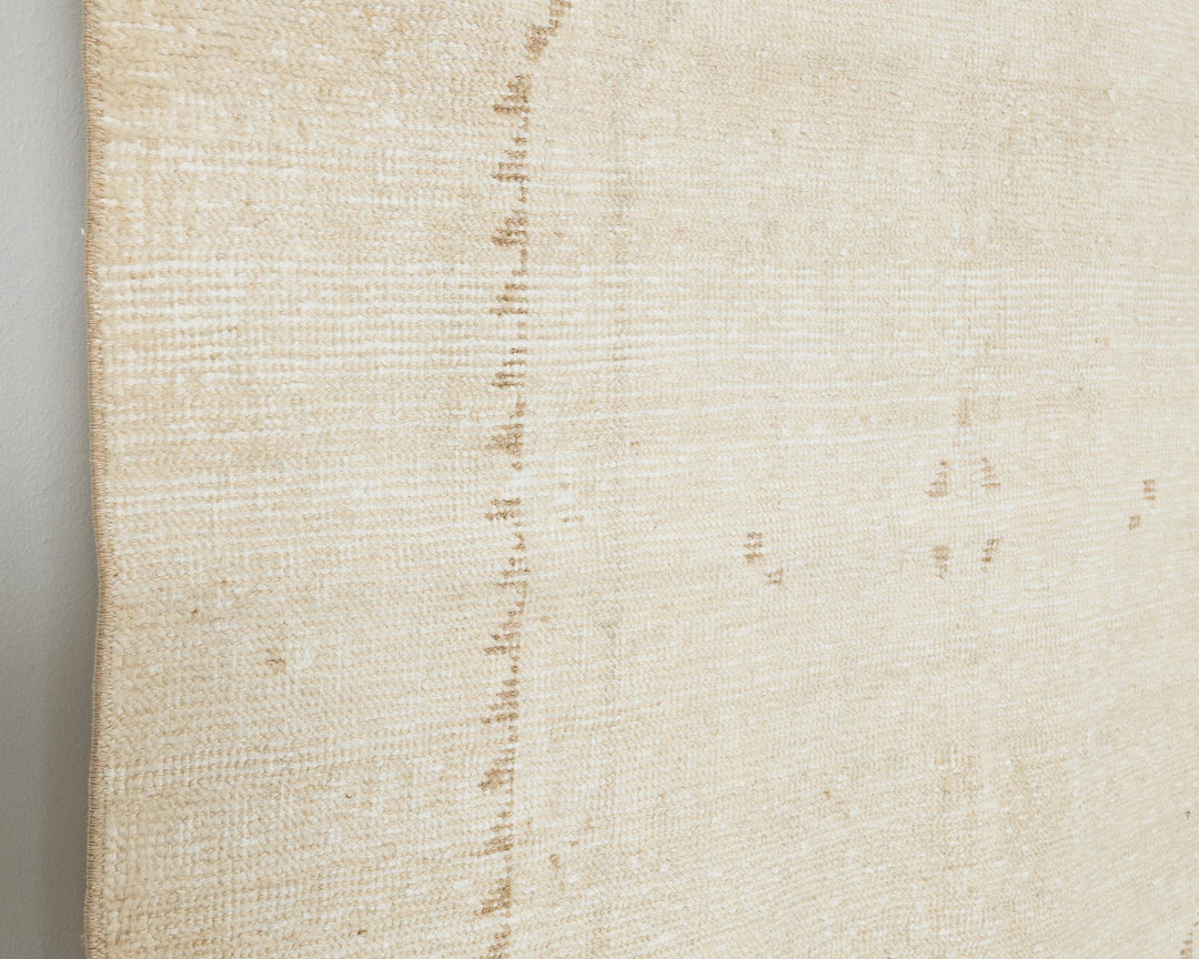 Beige Runner Rug 3' 11" x 11' 10" | No. VR10850