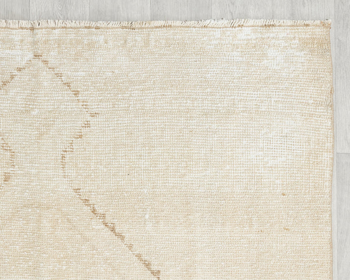 Beige Runner Rug 3' 11" x 11' 10" | No. VR10850