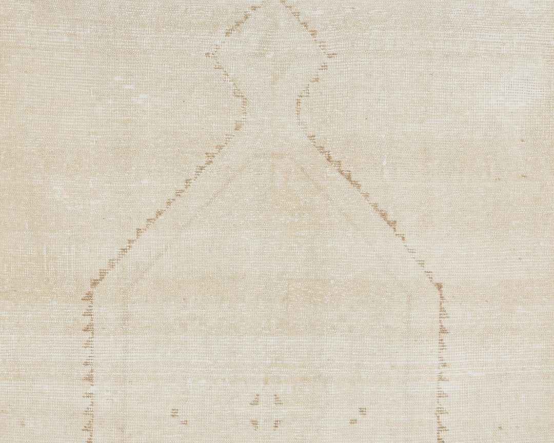 Beige Runner Rug 3' 11" x 11' 10" | No. VR10850