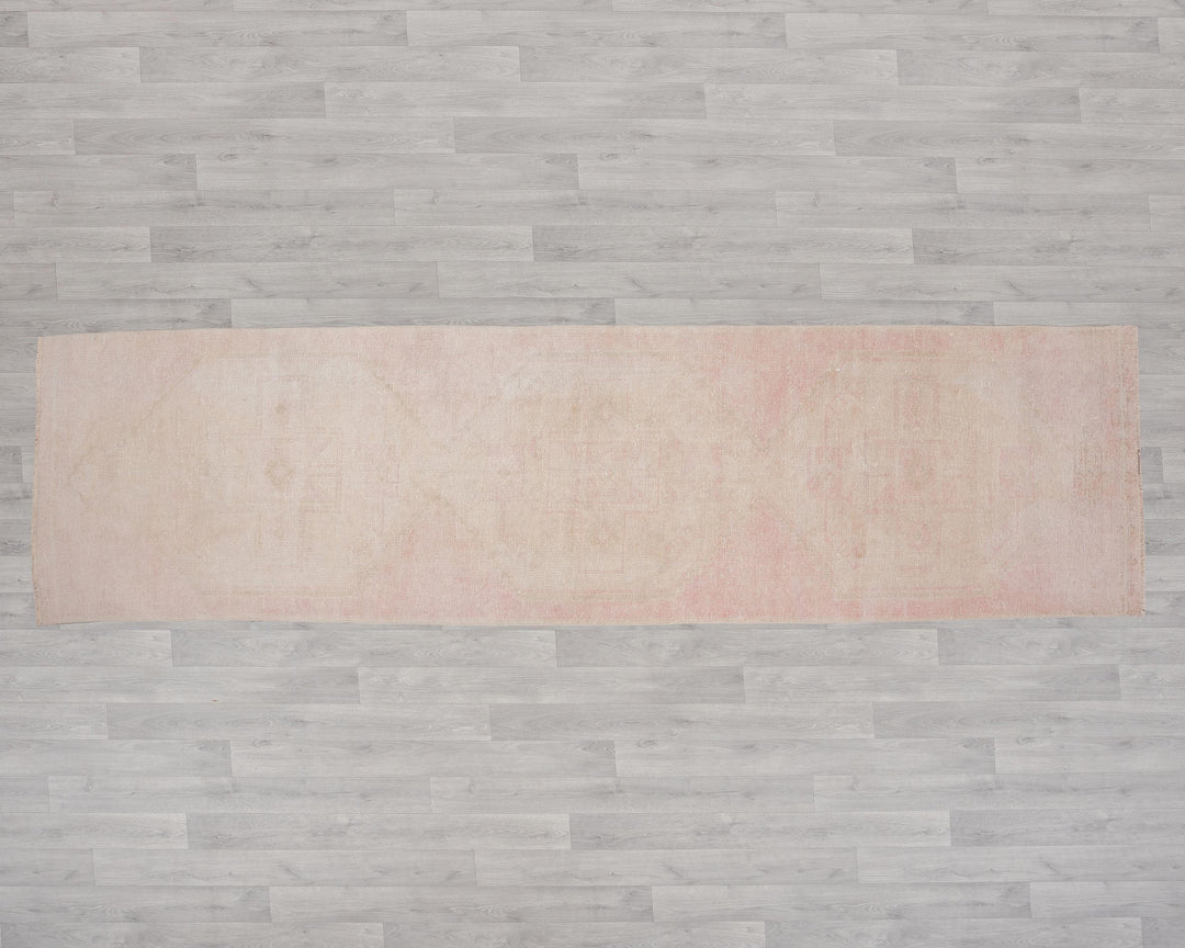 Neutral Runner Rug 3' 2" x 11' 7" | No. VR14675