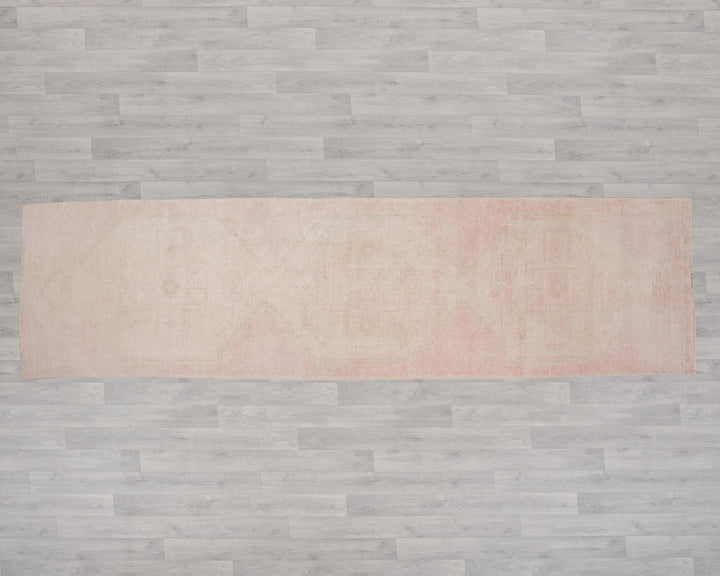 Neutral Runner Rug 3' 2" x 11' 7" | No. VR14675