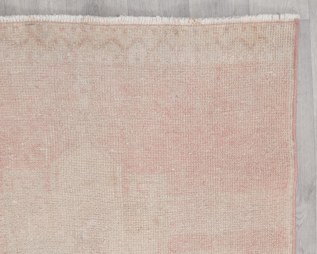 Runner Rug 2' 11" x 10' 5" | No. VR25083