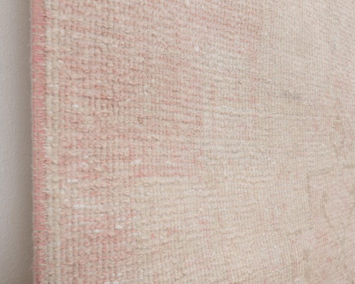 Runner Rug 2' 11" x 10' 5" | No. VR25083