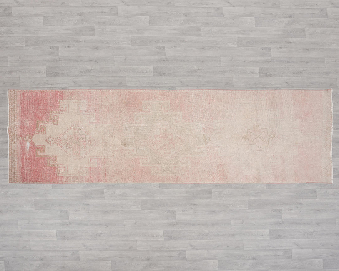 Runner Rug 2' 11" x 10' 5" | No. VR25083