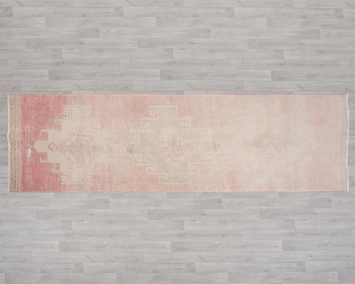 Runner Rug 2' 11" x 10' 5" | No. VR25083