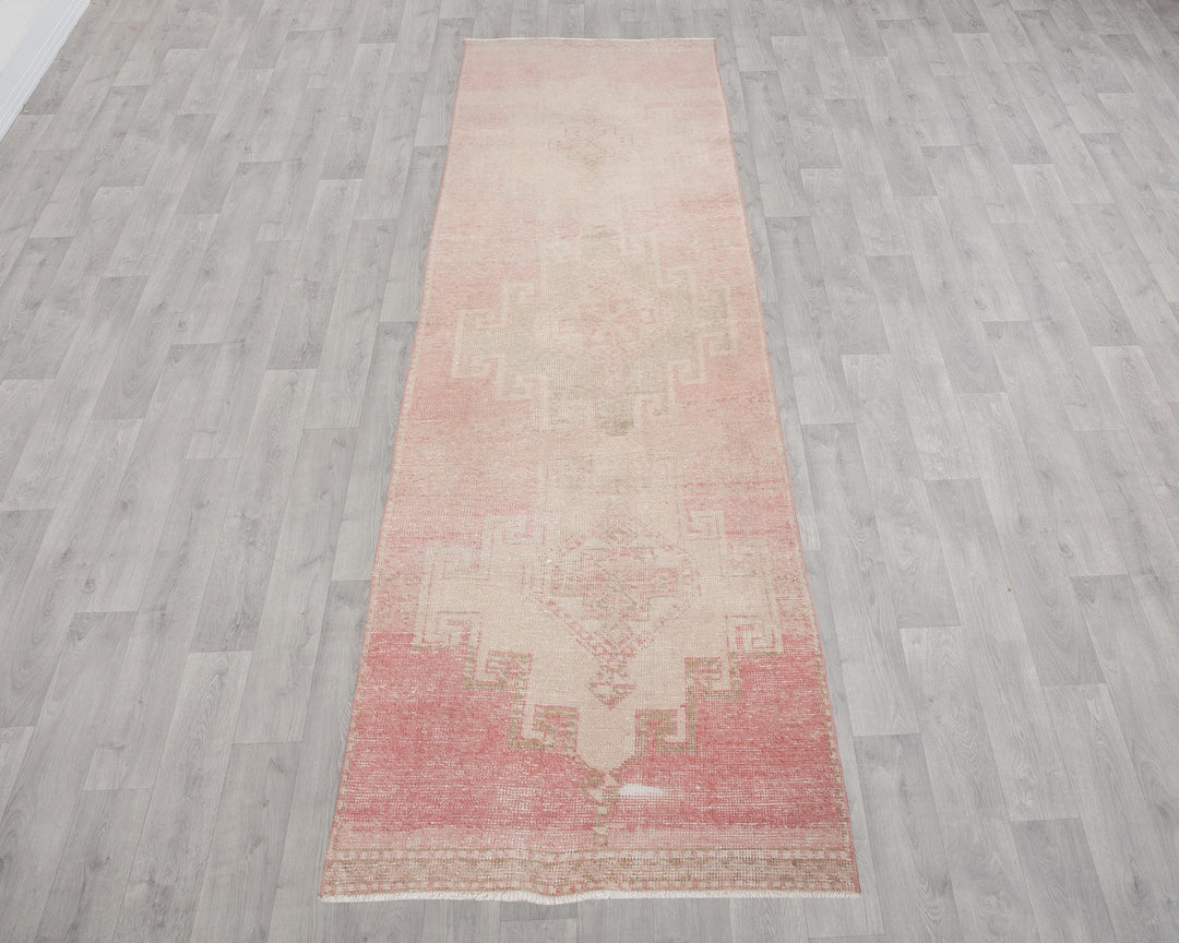 Runner Rug 2' 11" x 10' 5" | No. VR25083