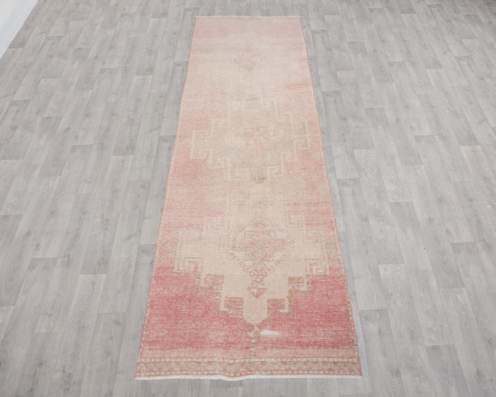 Runner Rug 2' 11" x 10' 5" | No. VR25083