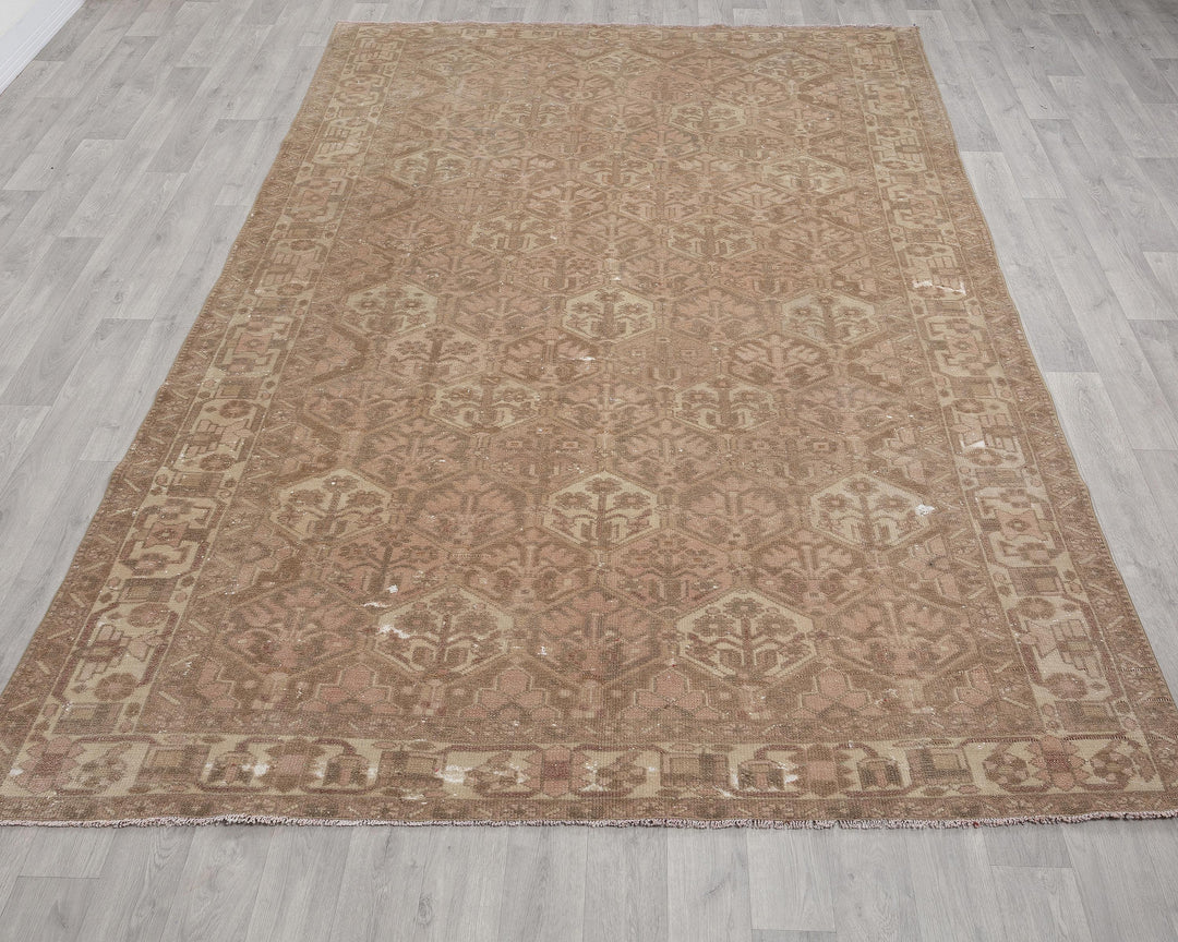 Neutral Oushak Rug 6' 9" x 9' 10" | No. VR80015