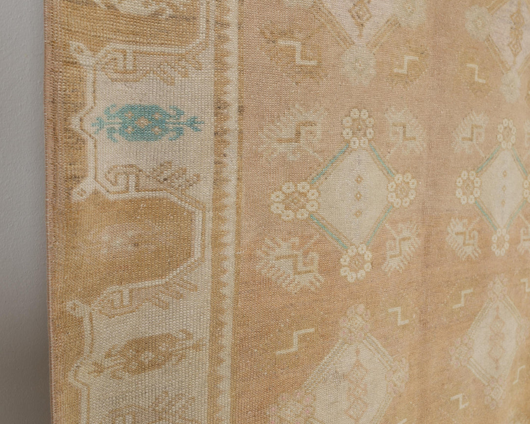 Beige Runner Rug 4' 1" x 10' 4" | No. VR91982