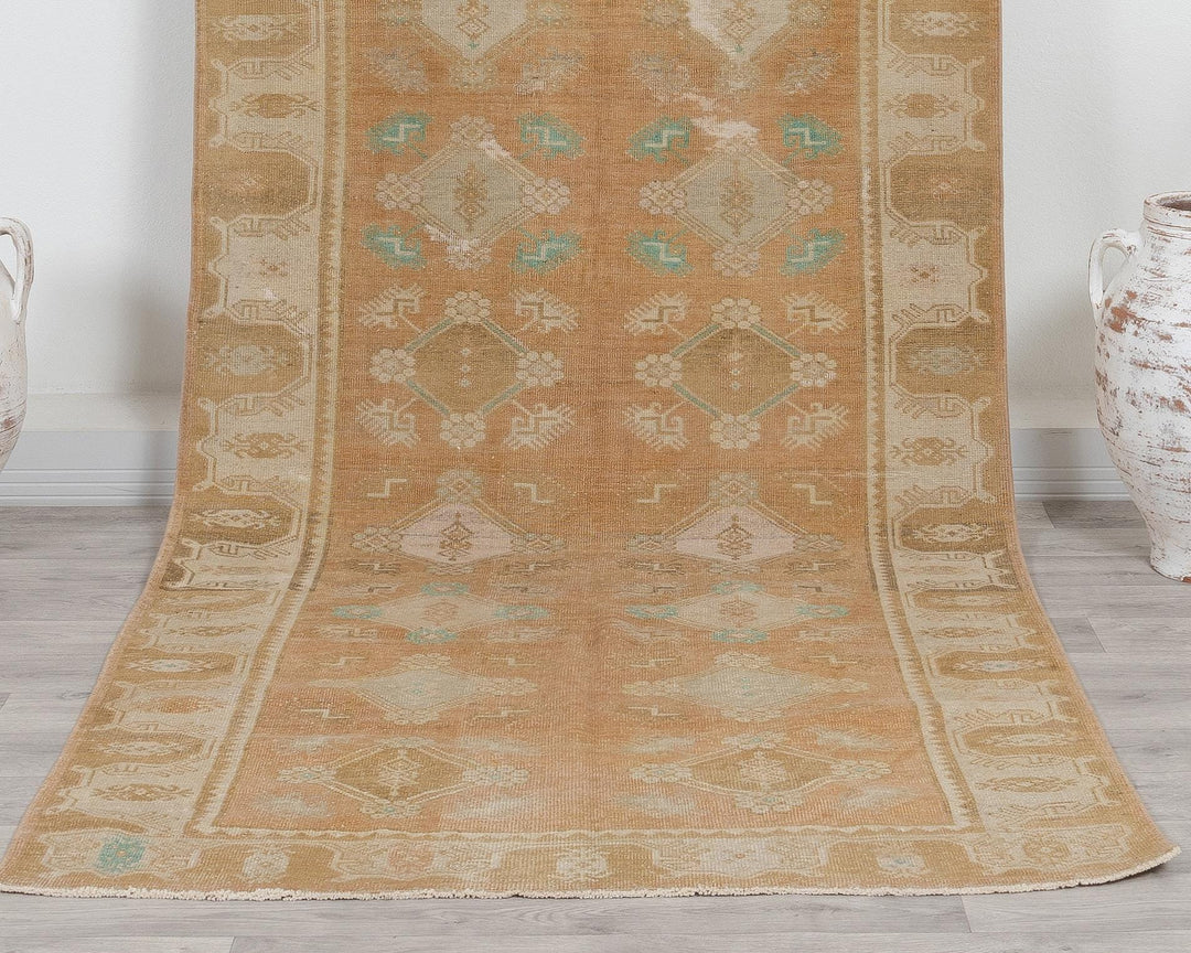 Beige Runner Rug 4' 1" x 10' 4" | No. VR91982