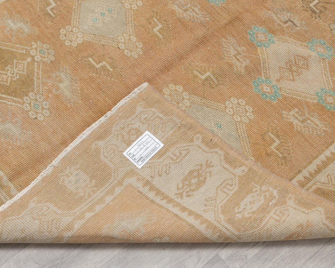 Beige Runner Rug 4' 1" x 10' 4" | No. VR91982