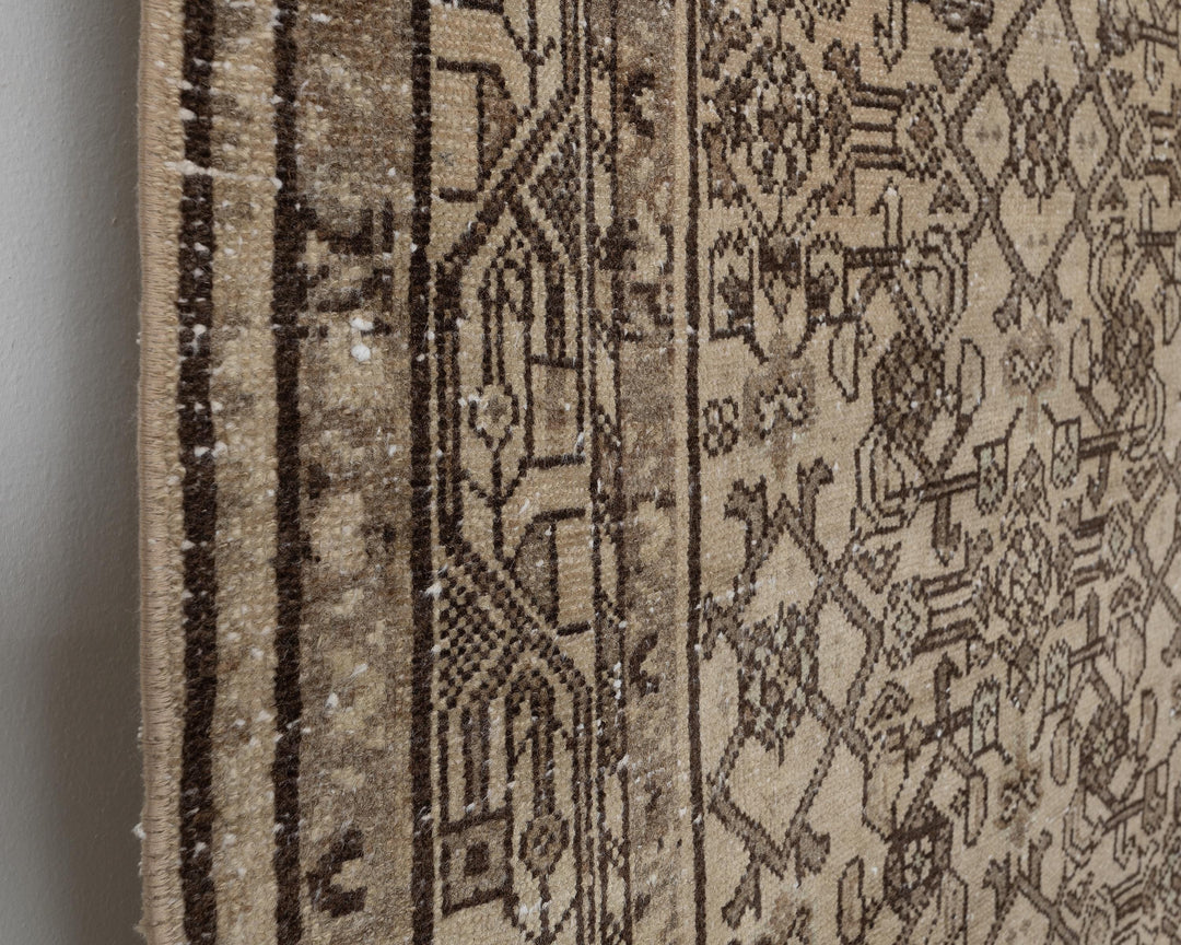 Runner Rug 3' 10" x 10' 2" | No. VR19606