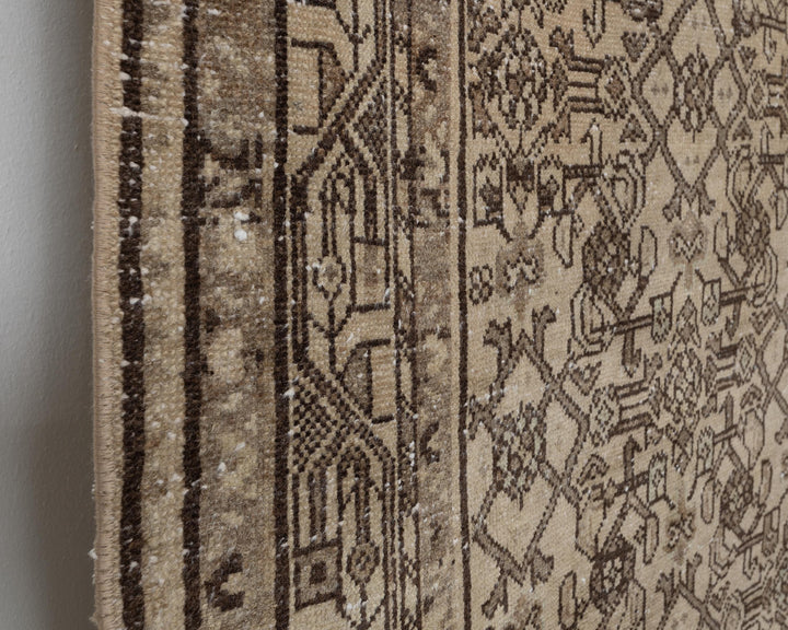 Runner Rug 3' 10" x 10' 2" | No. VR19606