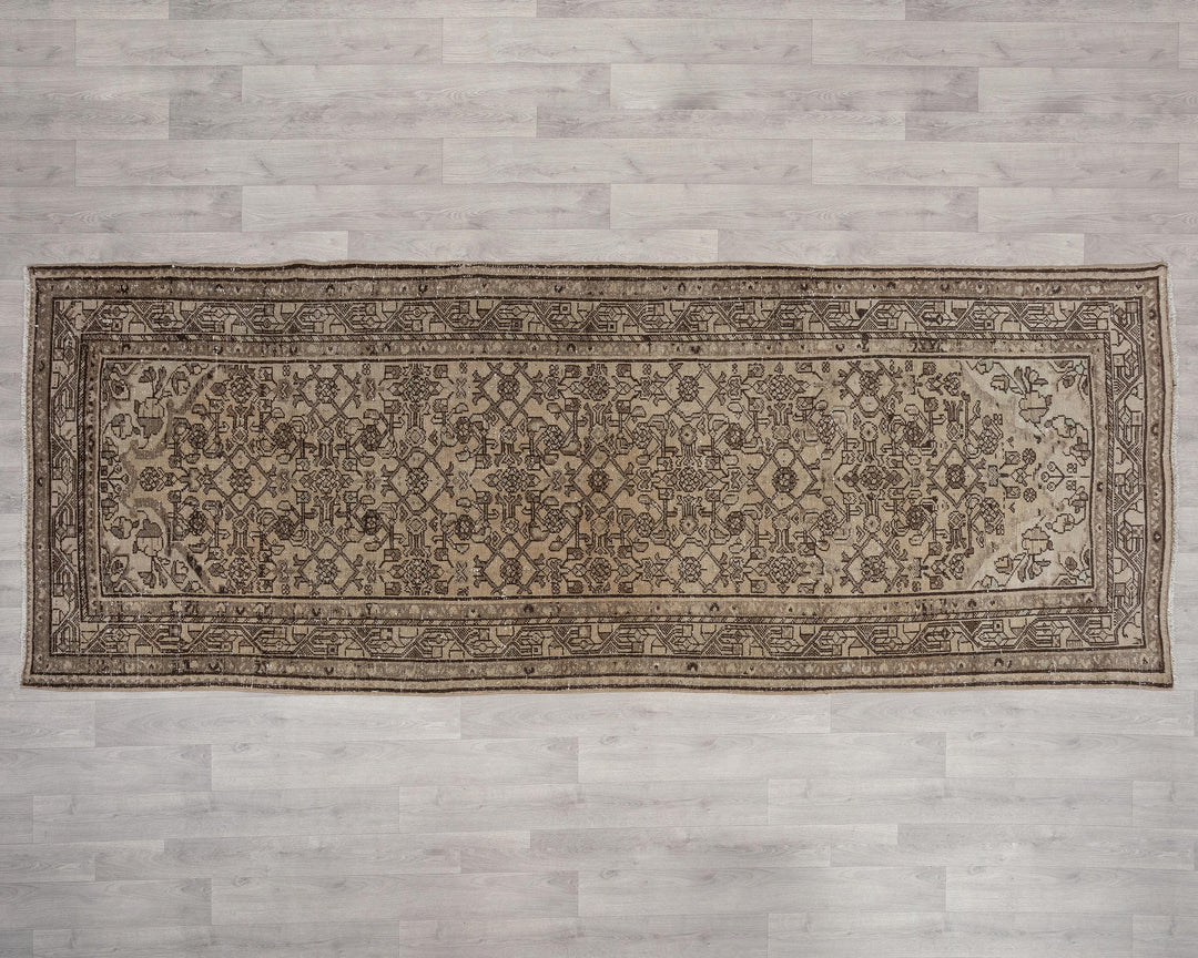 Runner Rug 3' 10" x 10' 2" | No. VR19606