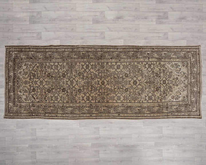Runner Rug 3' 10" x 10' 2" | No. VR19606