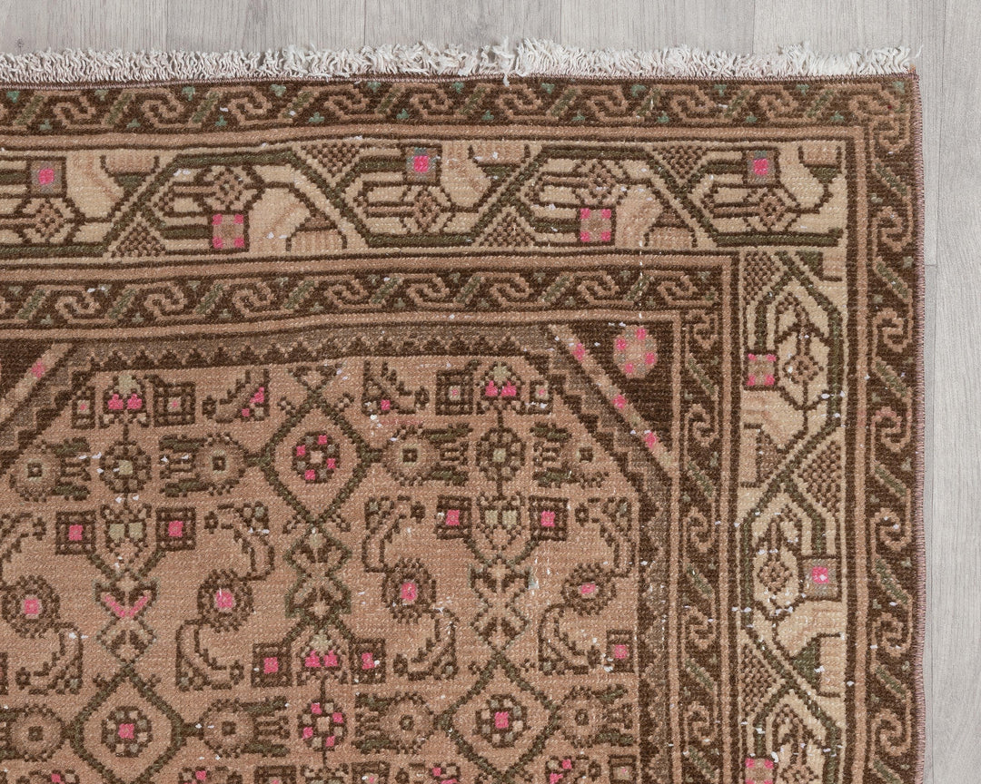 Runner Rug 3' 3" x 17' 5" | No. VR70277