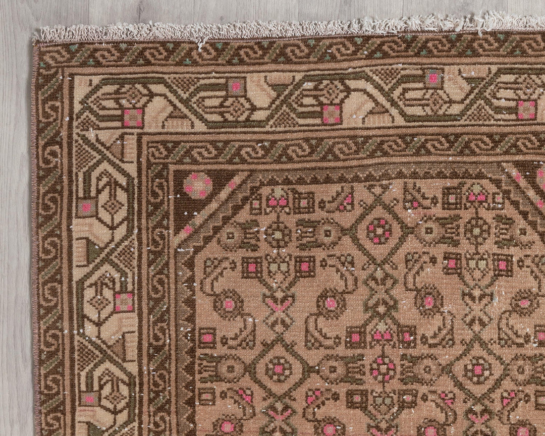 Runner Rug 3' 3" x 17' 5" | No. VR70277