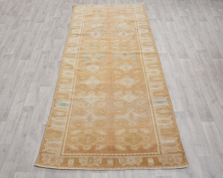 Beige Runner Rug 4' 1" x 10' 4" | No. VR91982