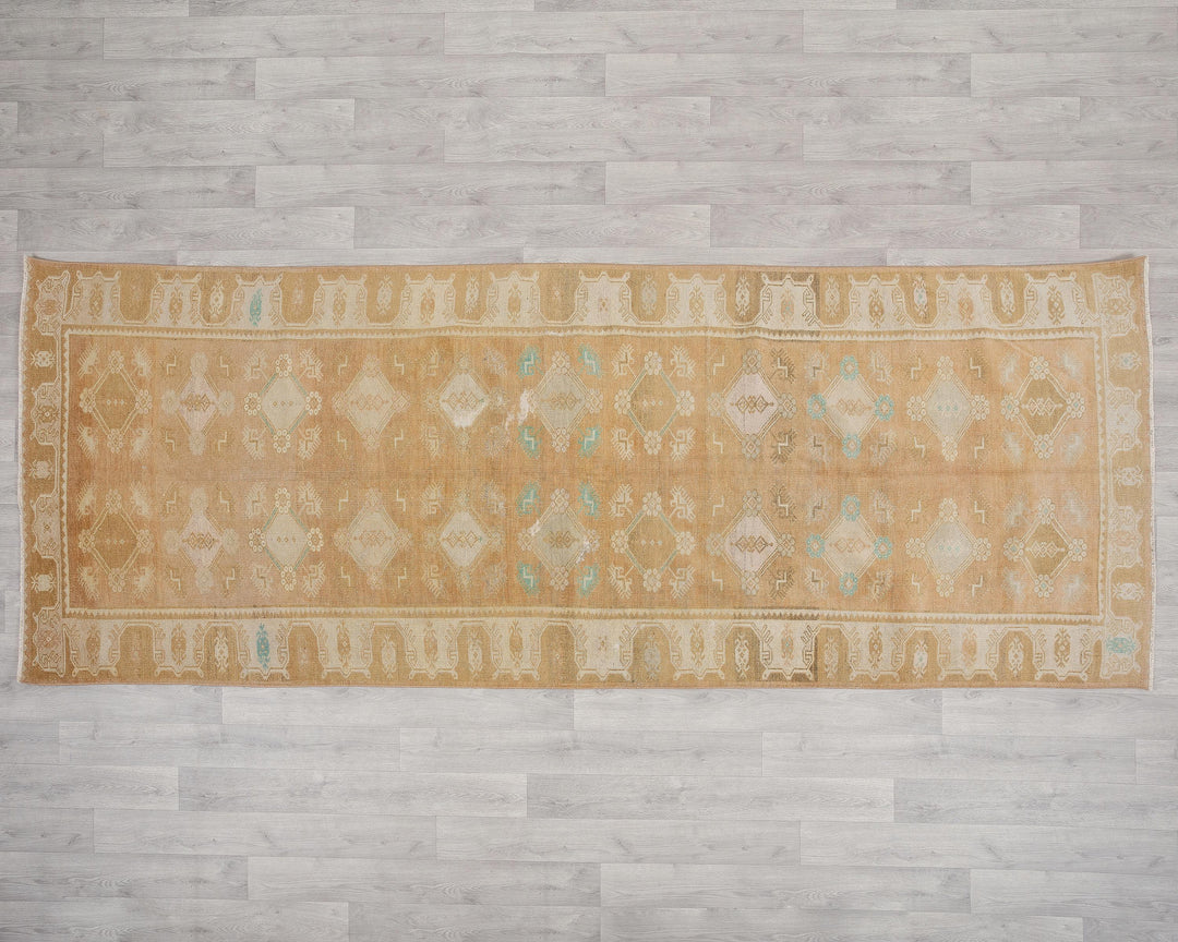 Beige Runner Rug 4' 1" x 10' 4" | No. VR91982