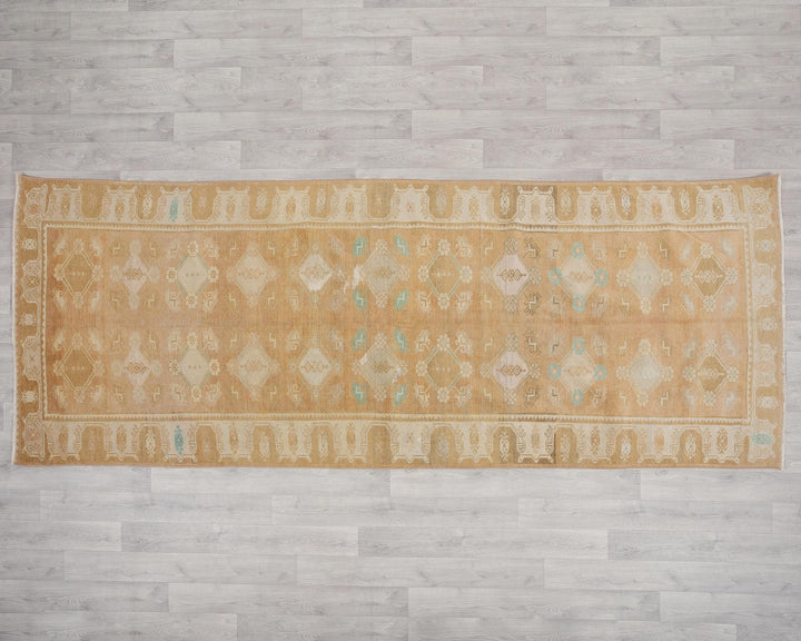 Beige Runner Rug 4' 1" x 10' 4" | No. VR91982